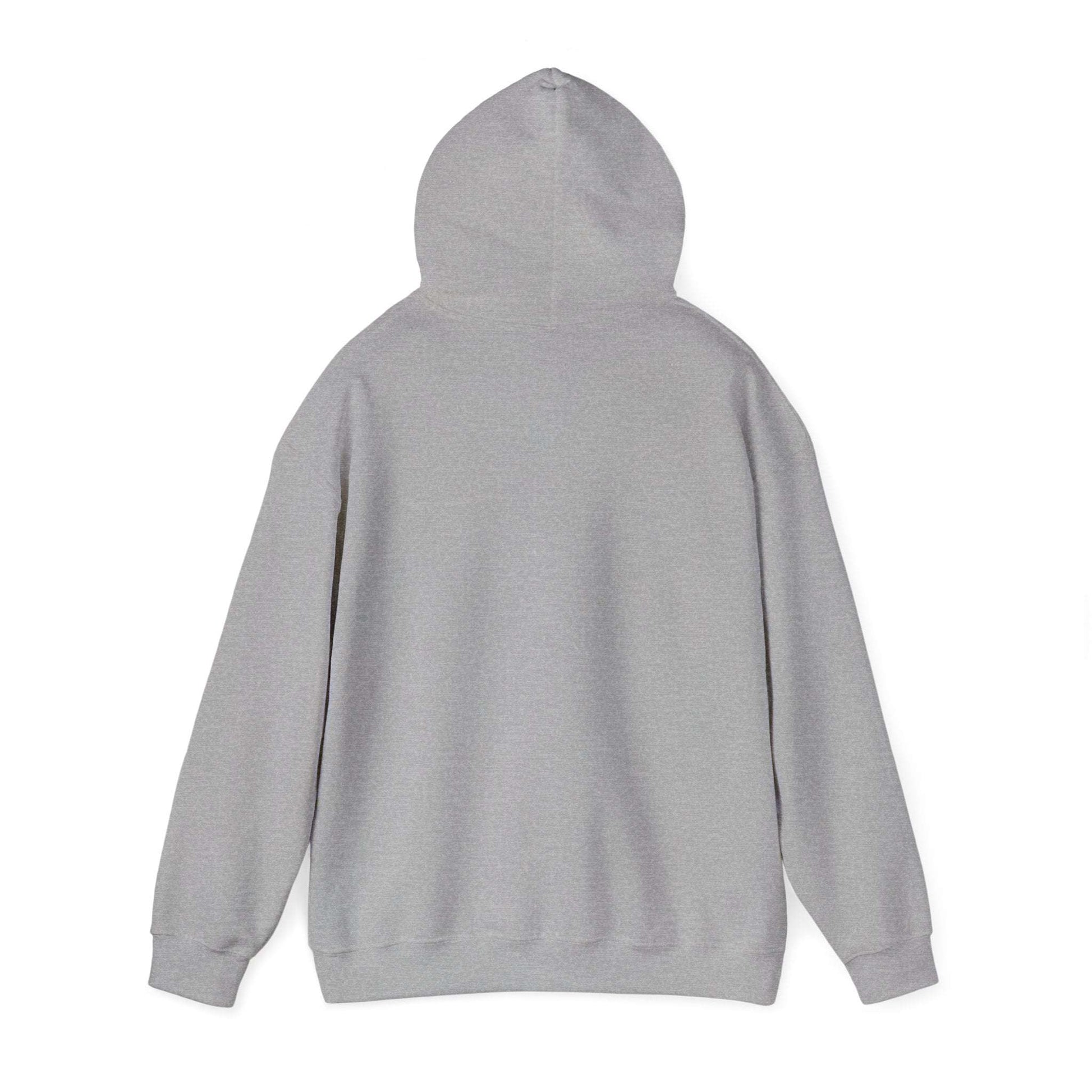 Unisex Heavy Blend™ Hooded Sweatshirt - Dream Studio Prints